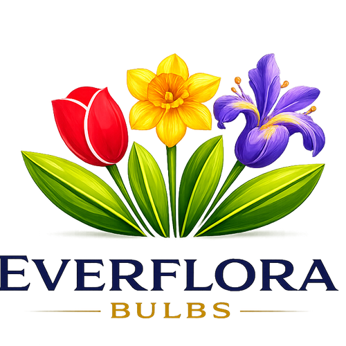 Everflora Bulbs